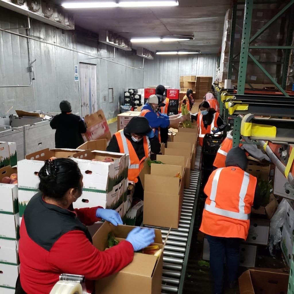 Cascadia Produce team assembling government food boxes on the warehouse line